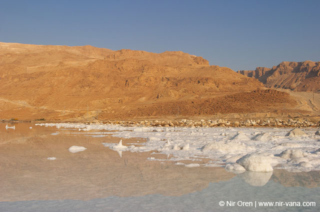 The Dead Sea