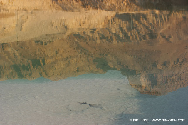 The Dead Sea