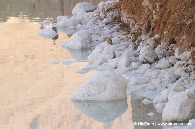 The Dead Sea