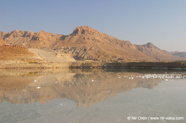 The Dead Sea