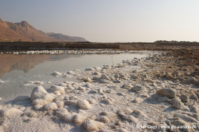The Dead Sea