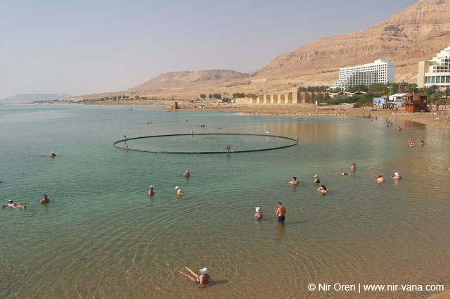 The Dead Sea