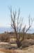 The Dead Sea