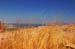 The Dead Sea