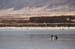 The Dead Sea