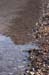 The Dead Sea