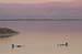 The Dead Sea