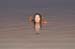 The Dead Sea