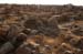 The Dead Sea