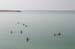 The Dead Sea