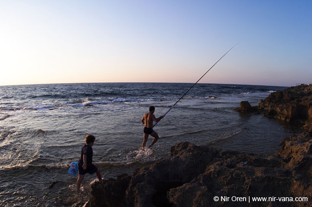 Atlit Beach: Water, Rocks and Lizards