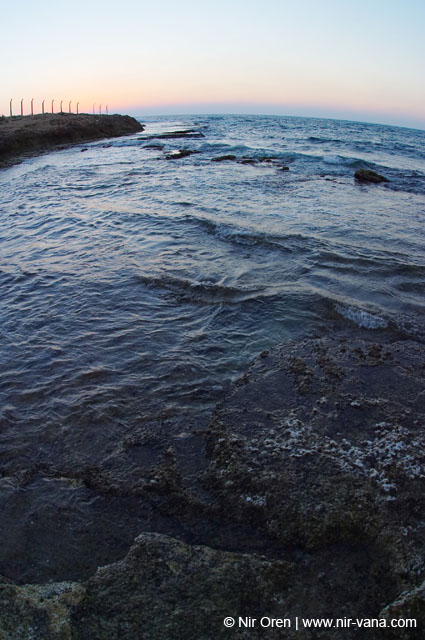 Atlit Beach: Water, Rocks and Lizards
