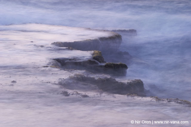 Atlit Beach: Water, Rocks and Lizards