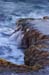 Atlit Beach: Water, Rocks and Lizards