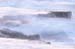 Atlit Beach: Water, Rocks and Lizards