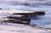 Atlit Beach: Water, Rocks and Lizards