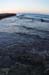 Atlit Beach: Water, Rocks and Lizards