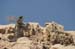 Atlit Beach: Water, Rocks and Lizards