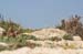 Atlit Beach: Water, Rocks and Lizards