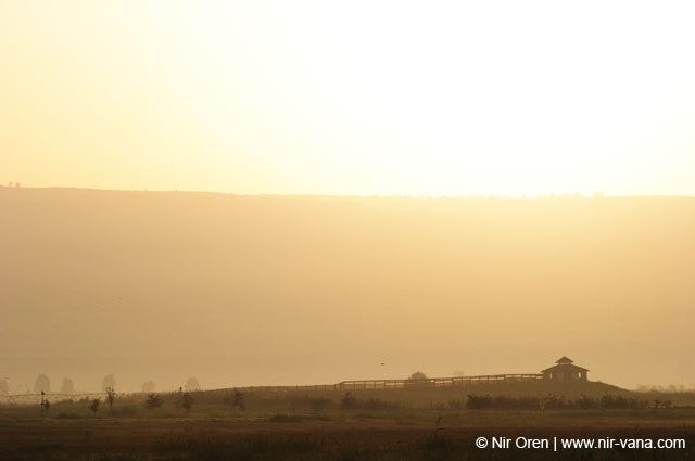 Birds of Passage in Agmon Hachula (A Lake in the Galilee) / October 2004