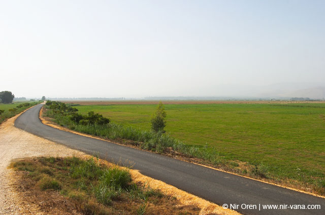 Birds of Passage in Agmon Hachula (A Lake in the Galilee) / October 2004