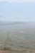 Birds of Passage in Agmon Hachula (A Lake in the Galilee) / October 2004