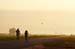 Birds of Passage in Agmon Hachula (A Lake in the Galilee) / October 2004