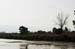 Birds of Passage in Agmon Hachula (A Lake in the Galilee) / October 2004