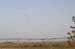 Birds of Passage in Agmon Hachula (A Lake in the Galilee) / October 2004