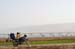 Birds of Passage in Agmon Hachula (A Lake in the Galilee) / October 2004
