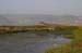Birds of Passage in Agmon Hachula (A Lake in the Galilee) / October 2004