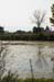 Birds of Passage in Agmon Hachula (A Lake in the Galilee) / October 2004