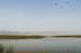 Birds of Passage in Agmon Hachula (A Lake in the Galilee) / October 2004