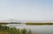 Birds of Passage in Agmon Hachula (A Lake in the Galilee) / October 2004