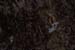 Monsters Inc (Crabs in their holes and between the rocks)