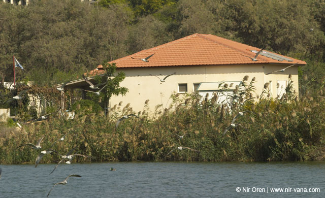 Fishponds and birds in Maagan Michael