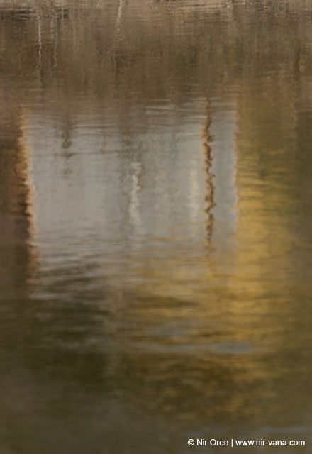 Fishponds and birds in Maagan Michael