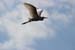 Fishponds and birds in Maagan Michael