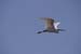Fishponds and birds in Maagan Michael