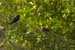 Fishponds and birds in Maagan Michael