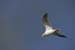 Fishponds and birds in Maagan Michael