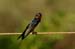 Fishponds and birds in Maagan Michael