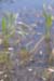 The Winter Pool Park In Netanya / April 2005