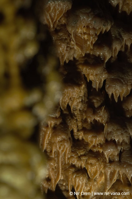 The Stalactite Cave in Wadi Soreq