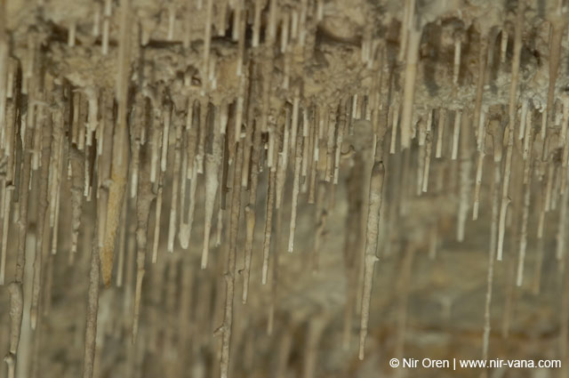 The Stalactite Cave in Wadi Soreq