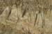 The Stalactite Cave in Wadi Soreq