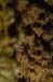 The Stalactite Cave in Wadi Soreq