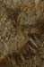 The Stalactite Cave in Wadi Soreq