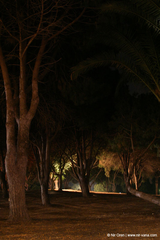 Nir Oren - Selected Photographs
