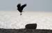 Nir Oren - Selected Photographs